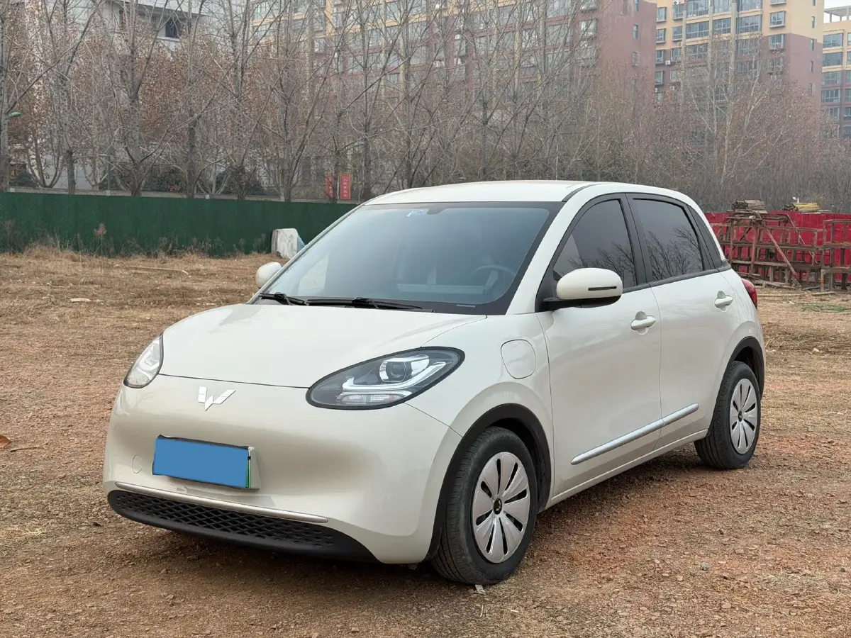 2023 WuLing BinGuo BEV 31.9KWH