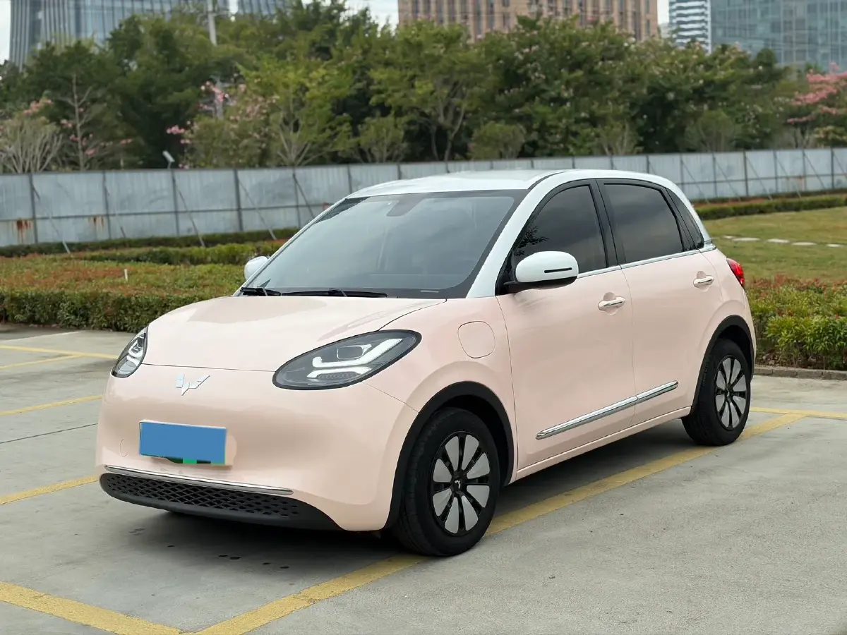 2023 WuLing BinGuo BEV 37.9KWH