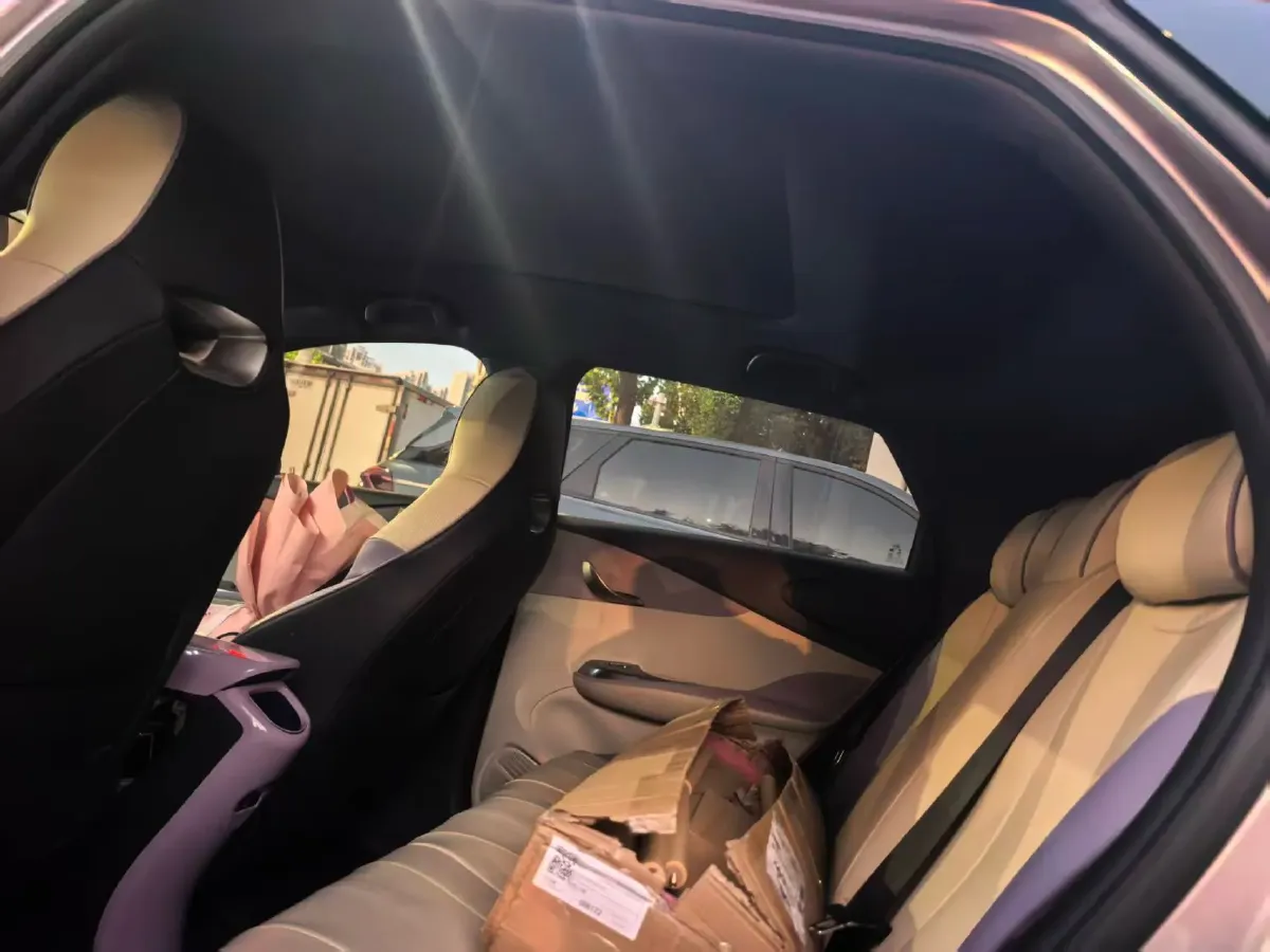 2021 BYD Yuan Pro BEV 50.1KWH,autocango,china used car exporter,china ev exporter,chinese used car exporter,chinese used ev exporter