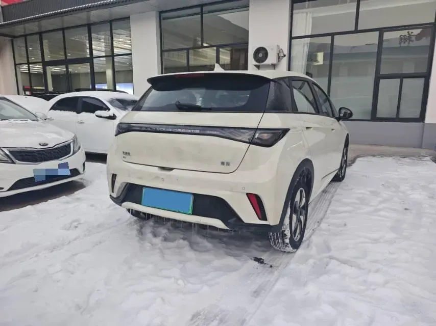 2025 BYD Dolphin BEV 44.928KWH,autocango,china used car exporter,china ev exporter,chinese used car exporter,chinese used ev exporter