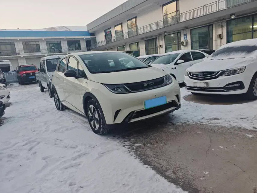 2025 BYD Dolphin BEV 44.928KWH,autocango,china used car exporter,china ev exporter,chinese used car exporter,chinese used ev exporter