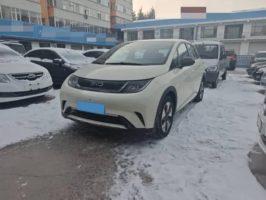 2025 BYD Dolphin BEV 44.928KWH