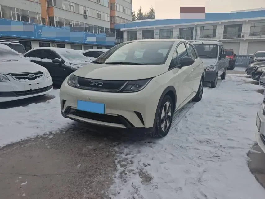 2025 BYD Dolphin BEV 44.928KWH,autocango,china used car exporter,china ev exporter,chinese used car exporter,chinese used ev exporter