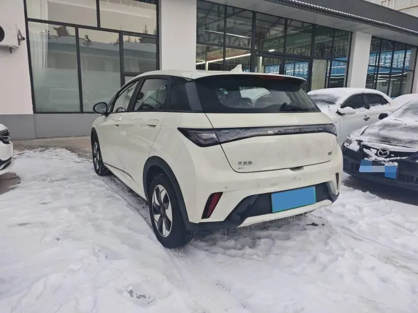 2025 BYD Dolphin BEV 44.928KWH,autocango,china used car exporter,china ev exporter,chinese used car exporter,chinese used ev exporter