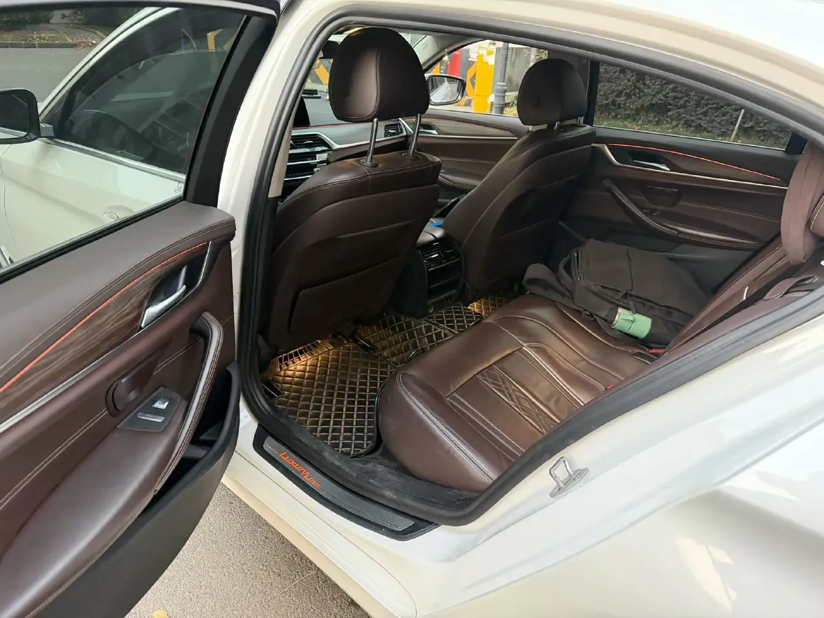 2020 BMW 5 Series 2.0T 252HP L4 8AT,autocango,china used car exporter,china ev exporter,chinese used car exporter,chinese used ev exporter