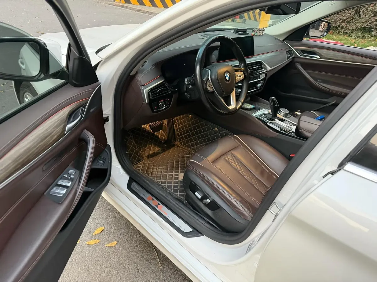 2020 BMW 5 Series 2.0T 252HP L4 8AT,autocango,china used car exporter,china ev exporter,chinese used car exporter,chinese used ev exporter