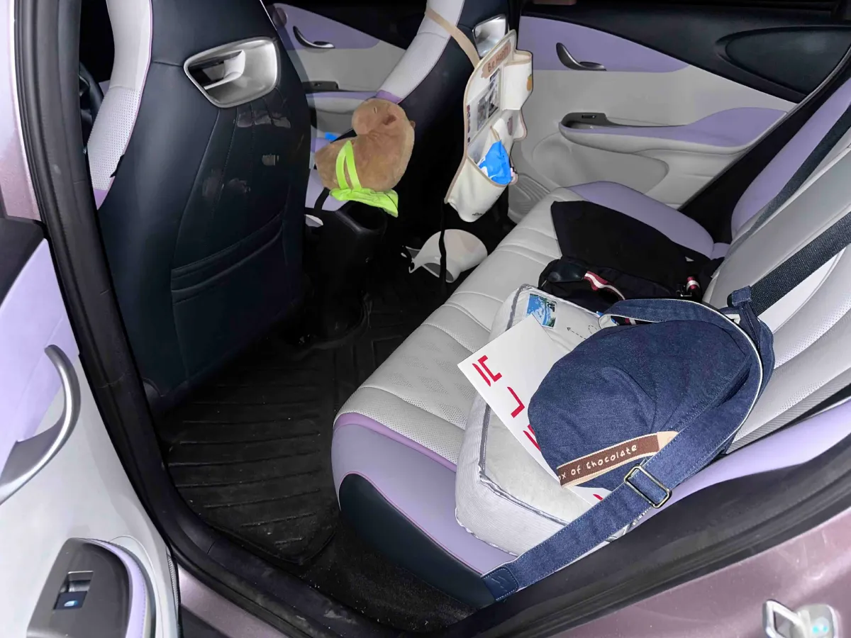 2024 BYD Dolphin BEV 44.928KWH,autocango,china used car exporter,china ev exporter,chinese used car exporter,chinese used ev exporter