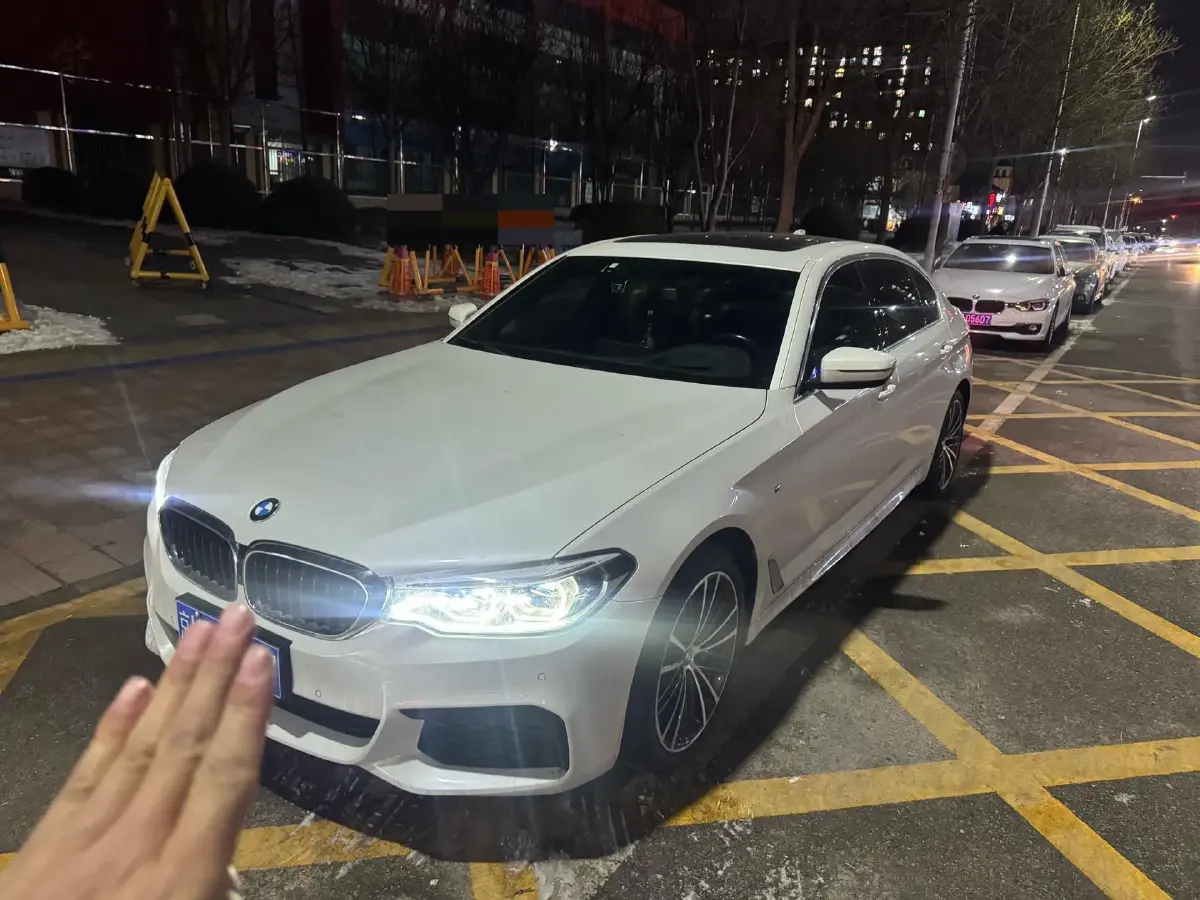 2020 BMW 5 Series 2.0T 252HP L4 8AT