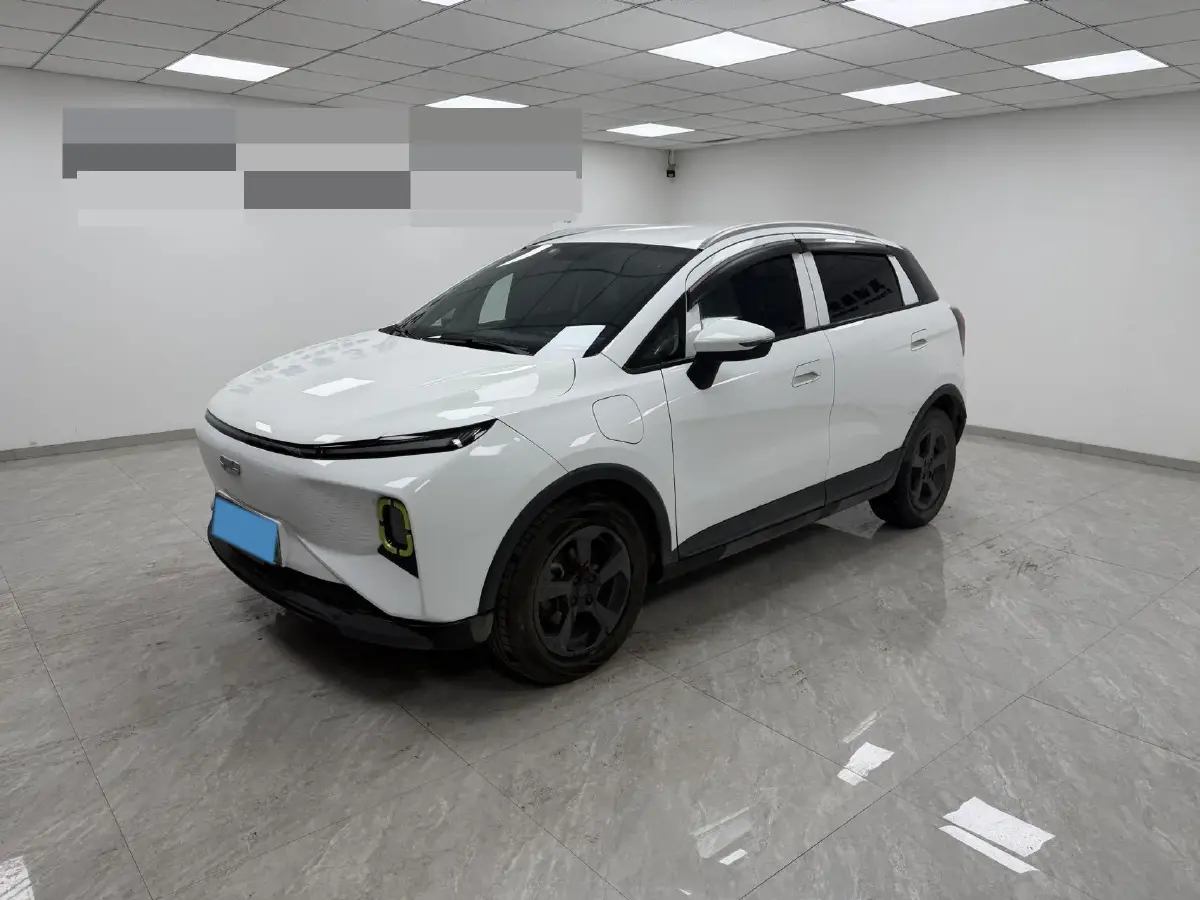 2022 Geometry E BEV 33.5KWH