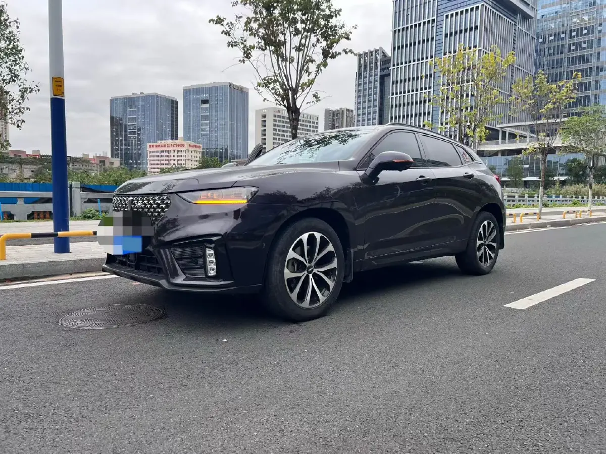 2020 WEY VV7 2.0T 227HP L4 7DCT