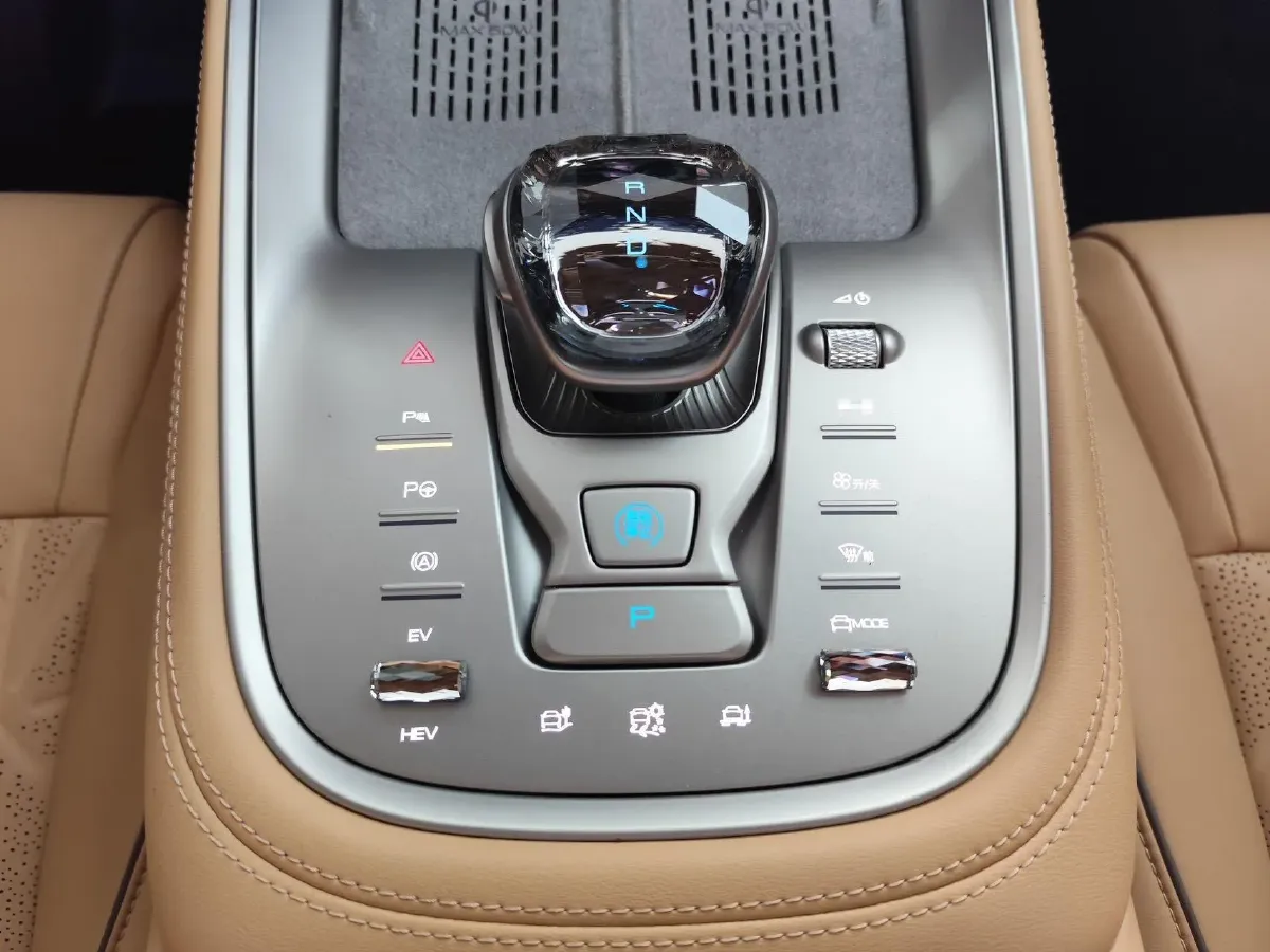 2023 Denza N8 1.5T 139HP L4 E-CVT PHEV 45.8KWH,autocango,china used car exporter,china ev exporter,chinese used car exporter,chinese used ev exporter