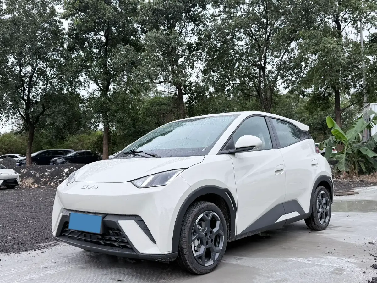 2025 BYD Seagull BEV 30.08KWH