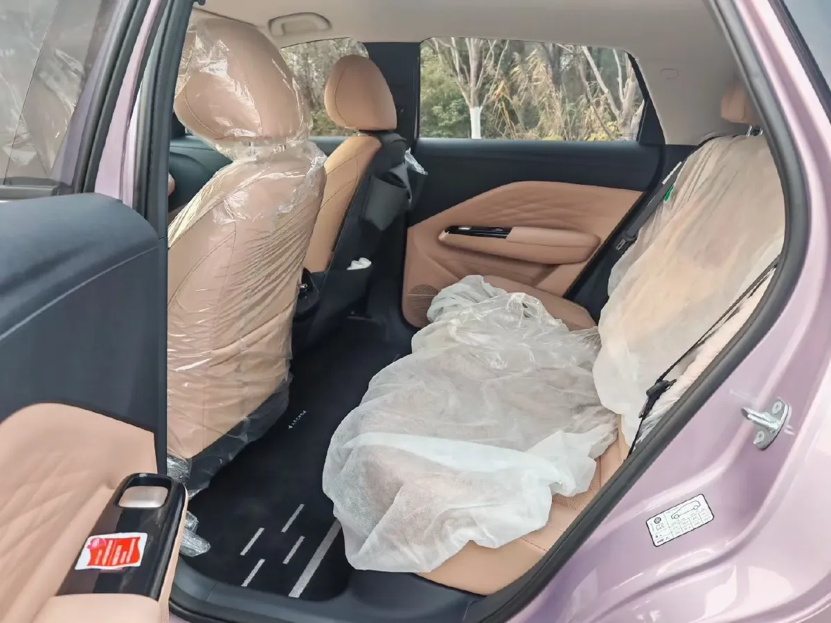 2025 BYD Seagull BEV 30.08KWH,autocango,china used car exporter,china ev exporter,chinese used car exporter,chinese used ev exporter