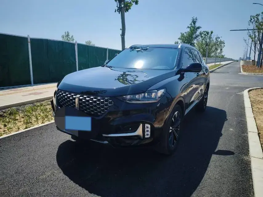 2021 WEY VV6 2.0T 227HP L4 7DCT