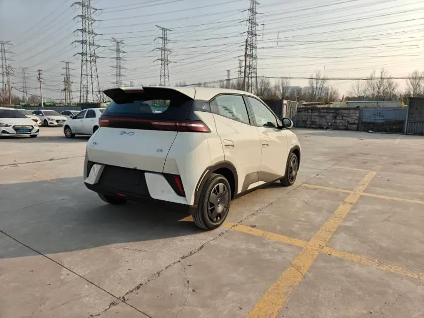 2025 BYD Seagull BEV 30.08KWH,autocango,china used car exporter,china ev exporter,chinese used car exporter,chinese used ev exporter