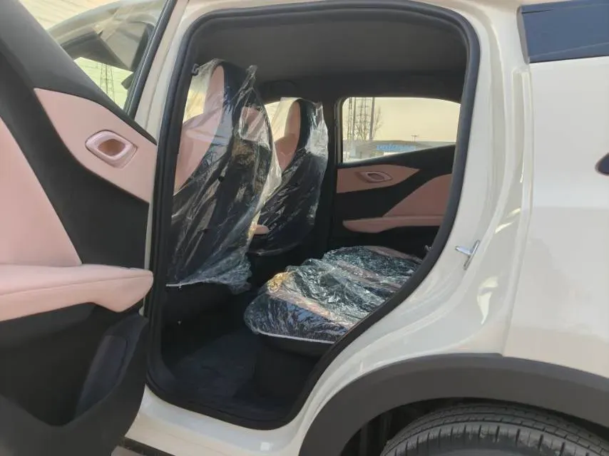 2025 BYD Seagull BEV 30.08KWH,autocango,china used car exporter,china ev exporter,chinese used car exporter,chinese used ev exporter