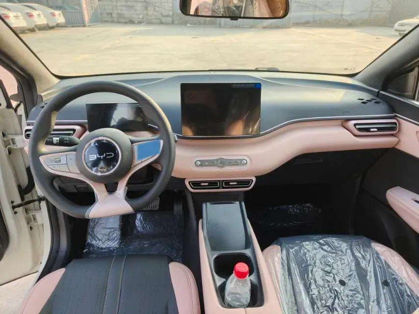 2025 BYD Seagull BEV 30.08KWH,autocango,china used car exporter,china ev exporter,chinese used car exporter,chinese used ev exporter