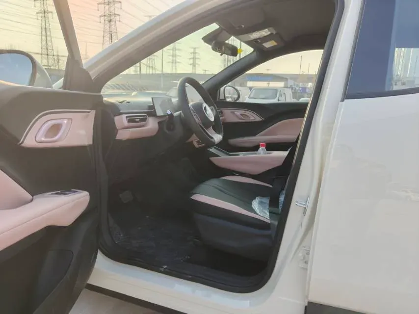 2025 BYD Seagull BEV 30.08KWH,autocango,china used car exporter,china ev exporter,chinese used car exporter,chinese used ev exporter