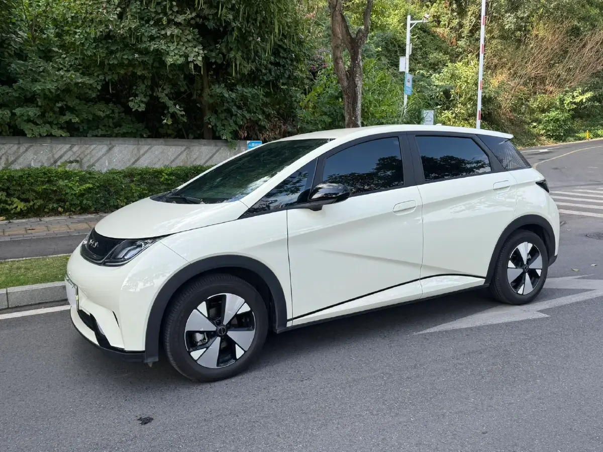 2023 BYD Dolphin BEV 44.928KWH