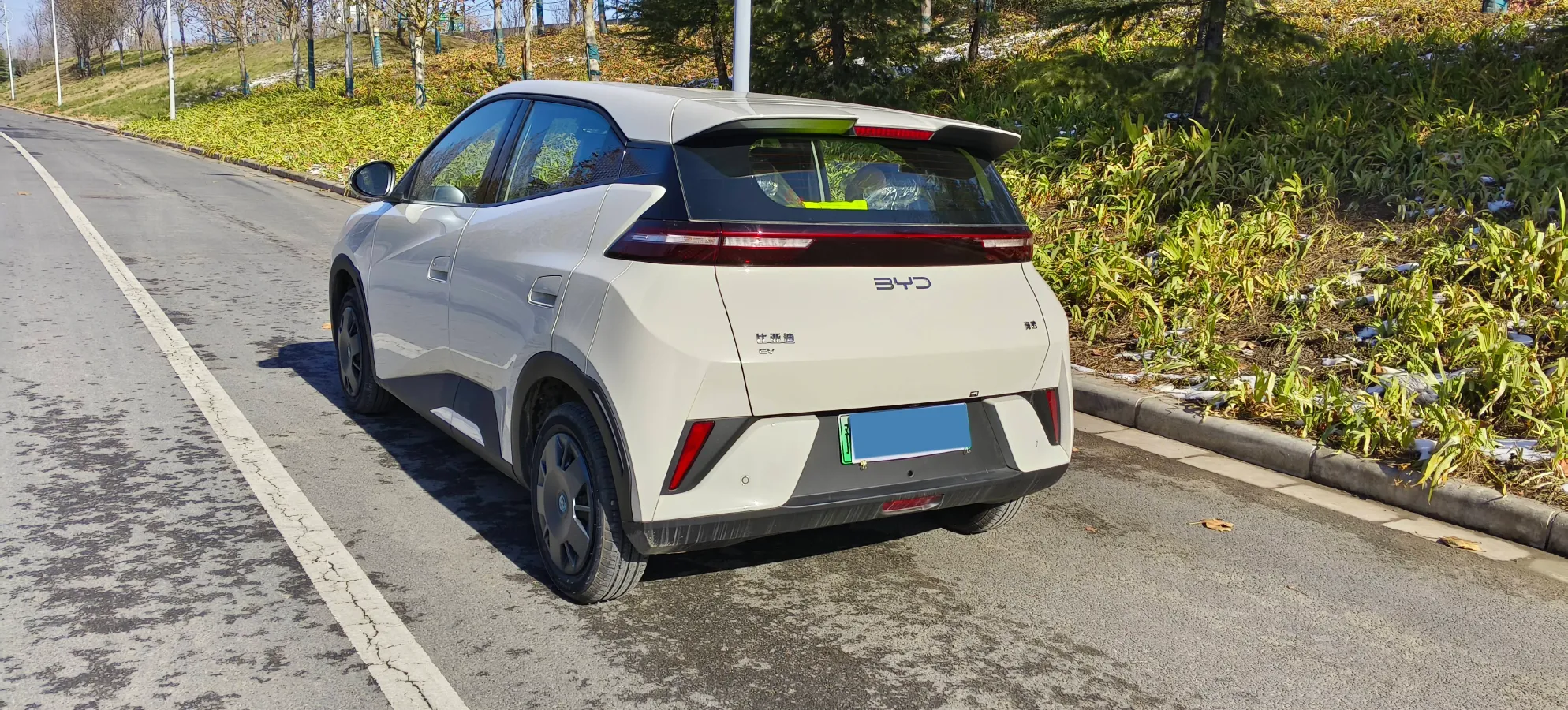 2025 BYD Seagull BEV 30.08KWH,autocango,china used car exporter,china ev exporter,chinese used car exporter,chinese used ev exporter