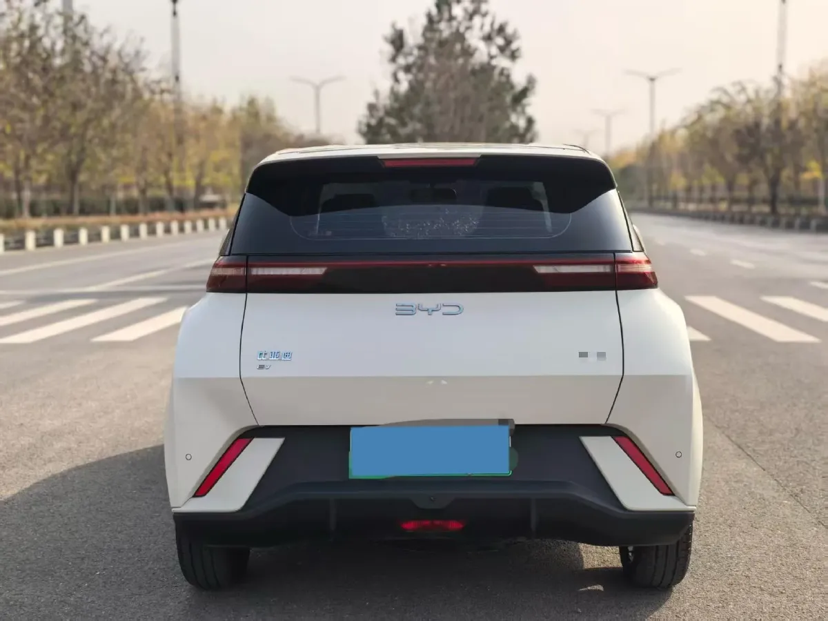 2025 BYD Seagull BEV 30.08KWH,autocango,china used car exporter,china ev exporter,chinese used car exporter,chinese used ev exporter