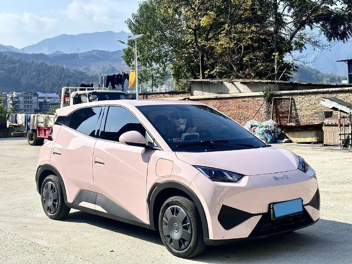 2025 BYD Seagull BEV 30.08KWH,autocango,china used car exporter,china ev exporter,chinese used car exporter,chinese used ev exporter