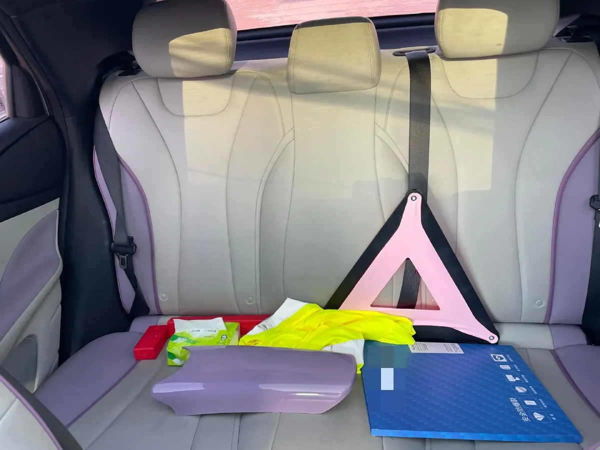 2021 BYD Yuan Pro BEV 50.1KWH,autocango,china used car exporter,china ev exporter,chinese used car exporter,chinese used ev exporter