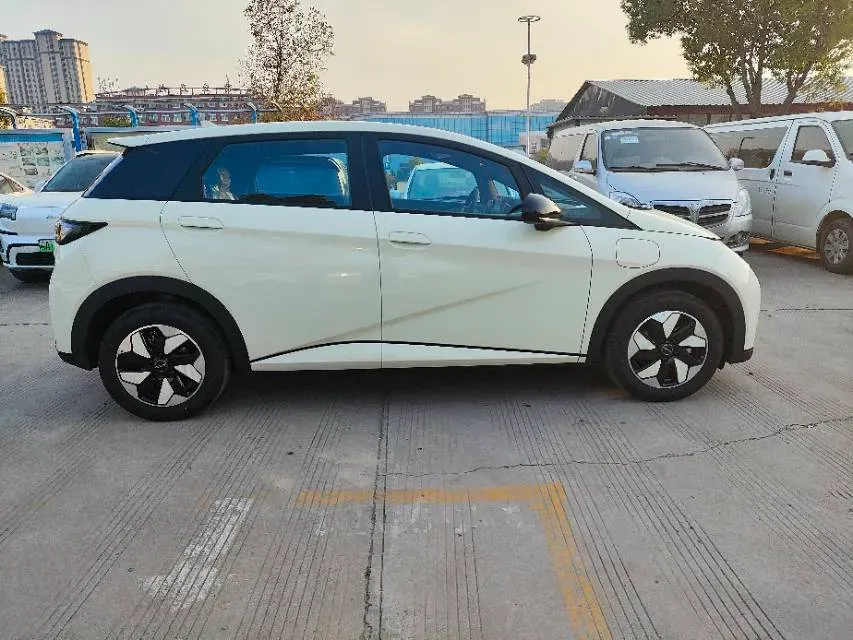 2025 BYD Dolphin BEV 44.928KWH,autocango,china used car exporter,china ev exporter,chinese used car exporter,chinese used ev exporter