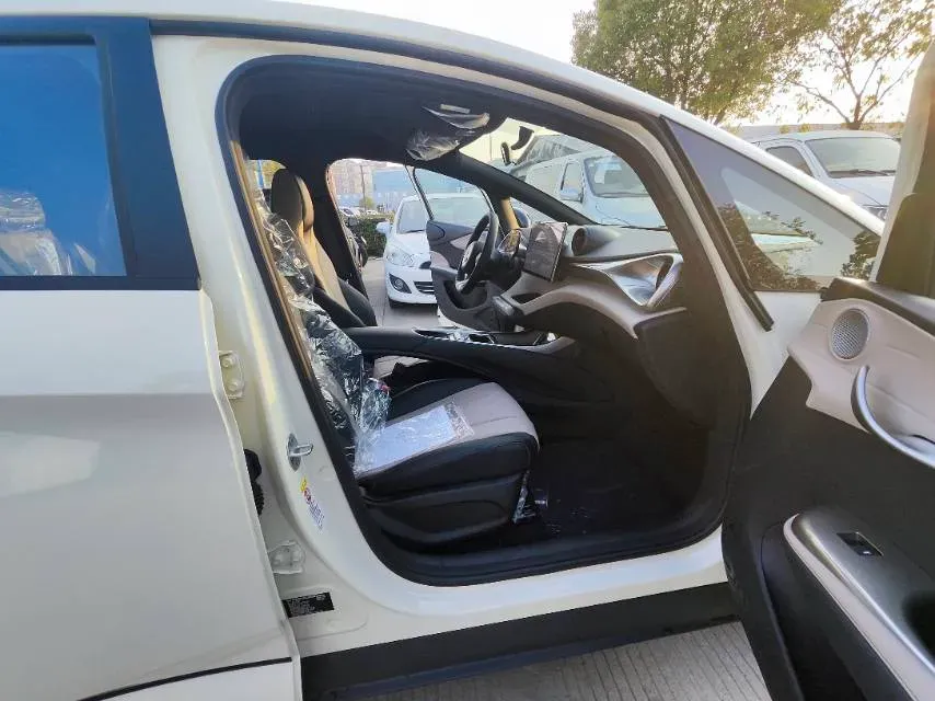 2025 BYD Dolphin BEV 44.928KWH,autocango,china used car exporter,china ev exporter,chinese used car exporter,chinese used ev exporter