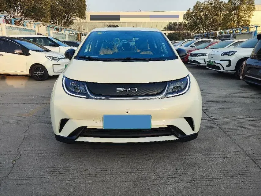 2025 BYD Dolphin BEV 44.928KWH,autocango,china used car exporter,china ev exporter,chinese used car exporter,chinese used ev exporter
