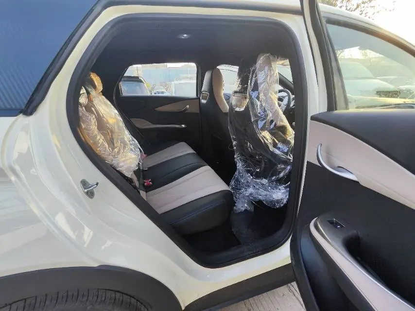 2025 BYD Dolphin BEV 44.928KWH,autocango,china used car exporter,china ev exporter,chinese used car exporter,chinese used ev exporter