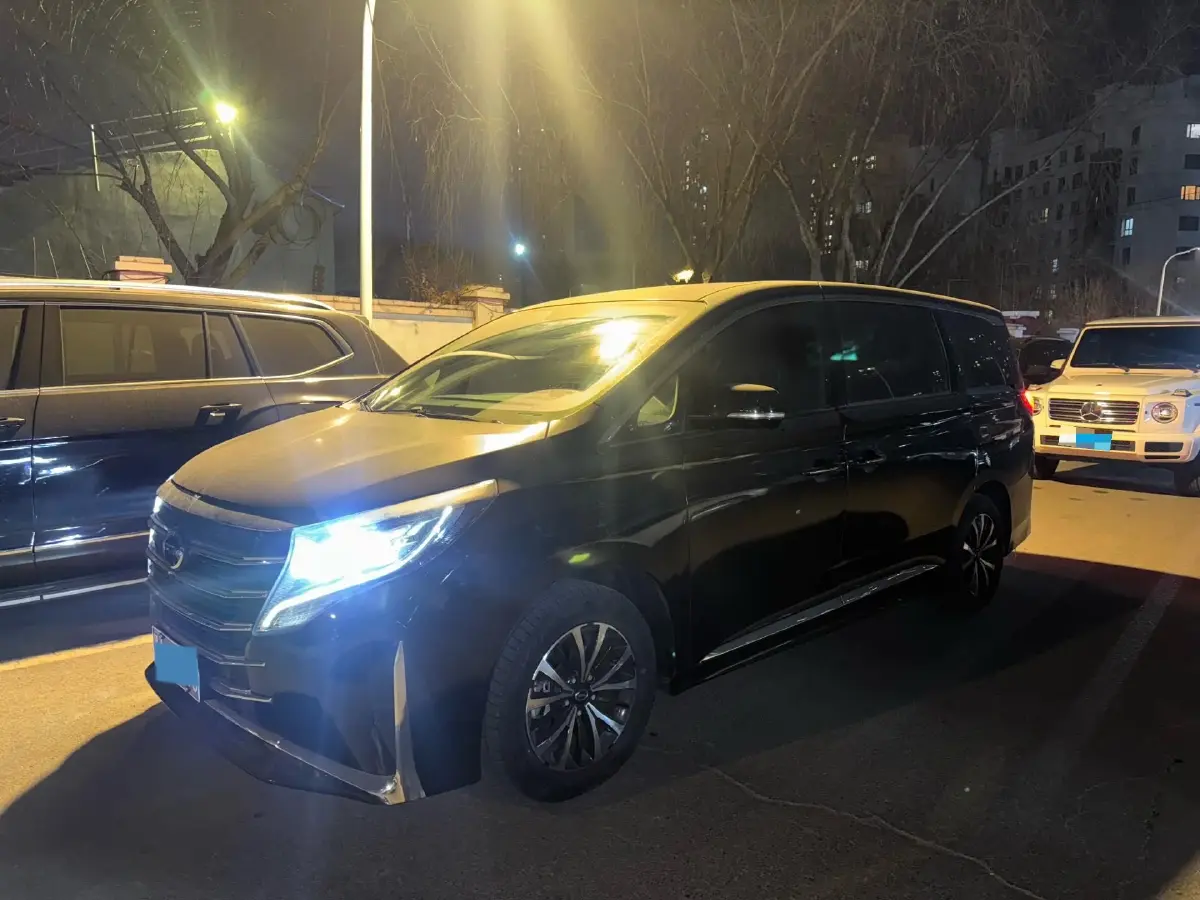 2021 GAC Trumpchi M8 2.0T 252HP L4 8AT