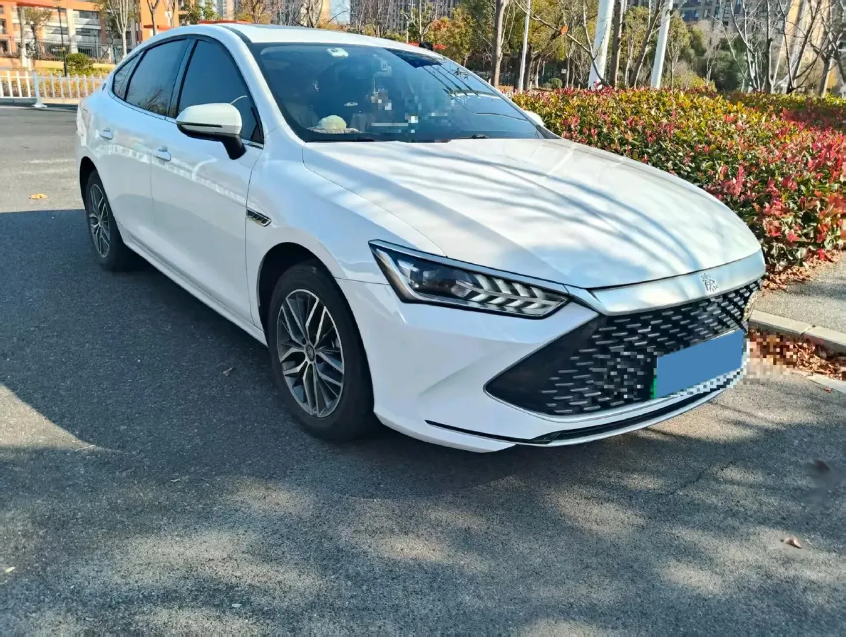 2021 BYD e2 BEV 43.2KWH,autocango,china used car exporter,china ev exporter,chinese used car exporter,chinese used ev exporter