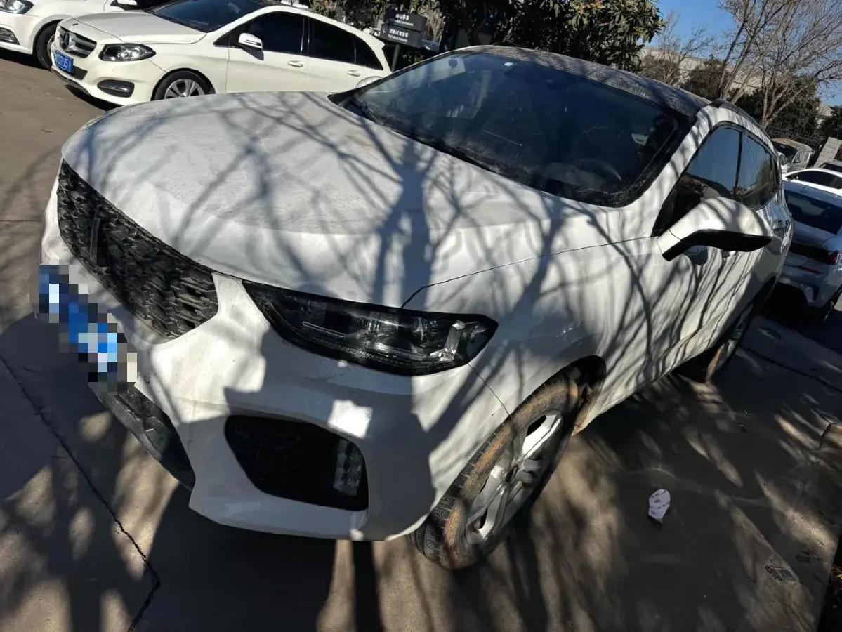 2019 WEY VV5 1.5T 169HP L4 7DCT