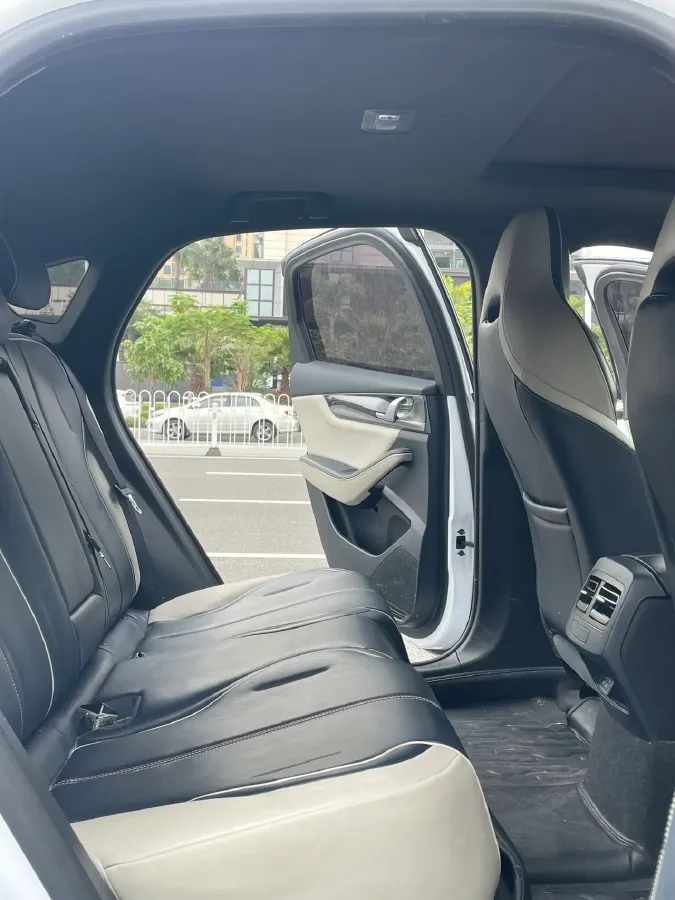 2021 DongFeng FuKang e Elysee BEV 30.7KWH,autocango,china used car exporter,china ev exporter,chinese used car exporter,chinese used ev exporter