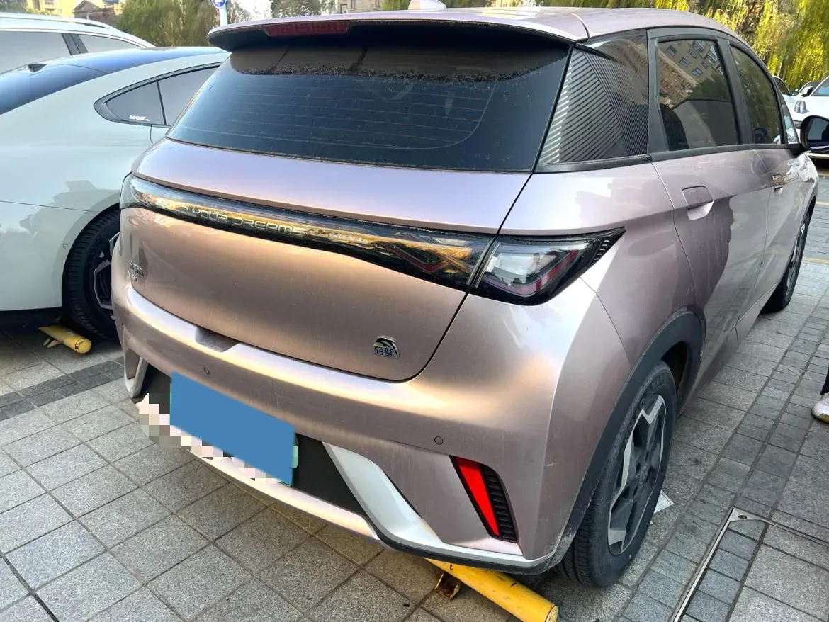 2021 BYD Yuan Pro BEV 50.1KWH,autocango,china used car exporter,china ev exporter,chinese used car exporter,chinese used ev exporter