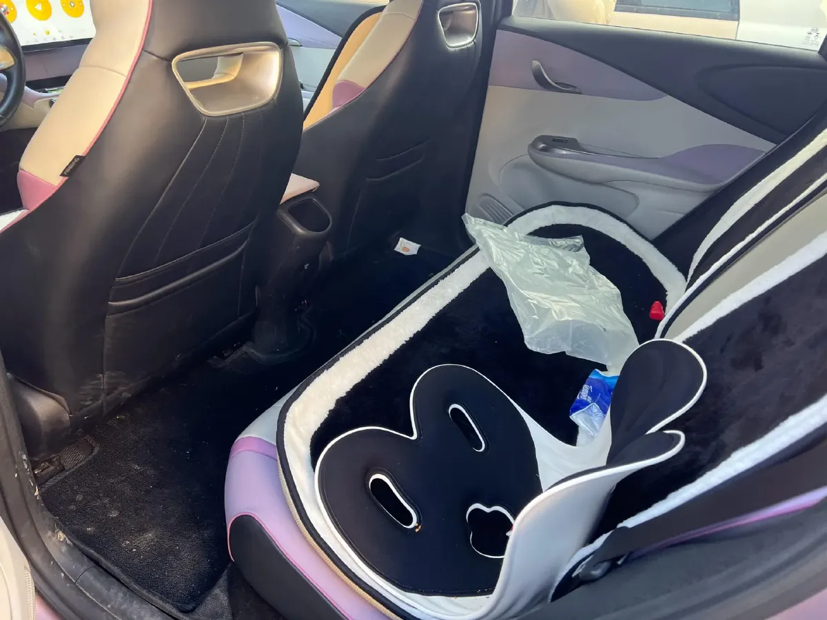 2021 BYD Yuan Pro BEV 50.1KWH,autocango,china used car exporter,china ev exporter,chinese used car exporter,chinese used ev exporter