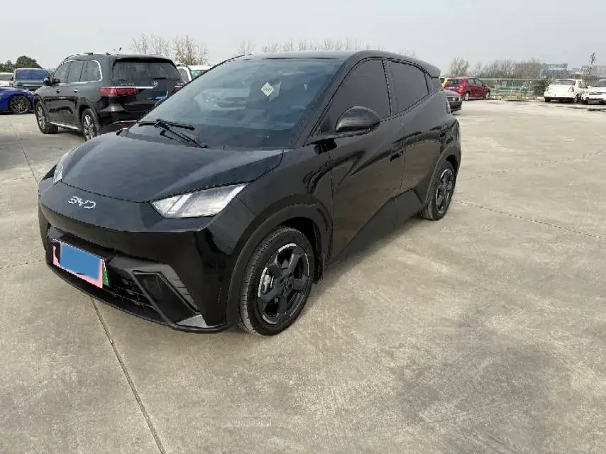 2023 BYD Yuan Pro BEV 38KWH