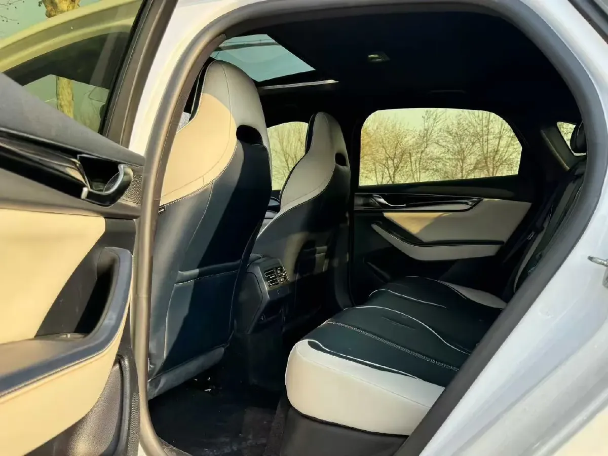 2021 DongFeng FuKang e Elysee BEV 38.4KWH,autocango,china used car exporter,china ev exporter,chinese used car exporter,chinese used ev exporter