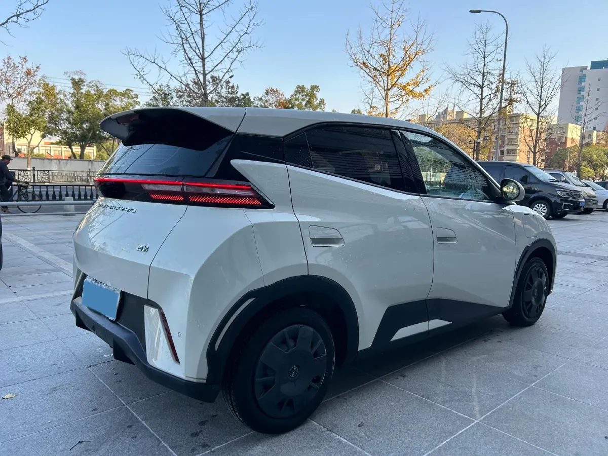 2023 BYD Seagull BEV 30.08KWH,autocango,china used car exporter,china ev exporter,chinese used car exporter,chinese used ev exporter