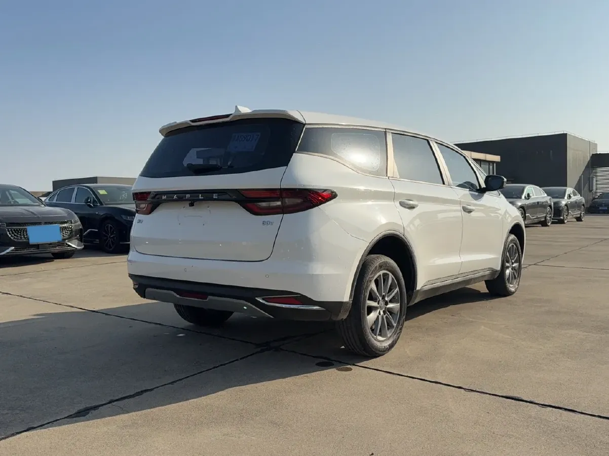 2021 Livan Maple 80v BEV 53KWH,autocango,china used car exporter,china ev exporter,chinese used car exporter,chinese used ev exporter