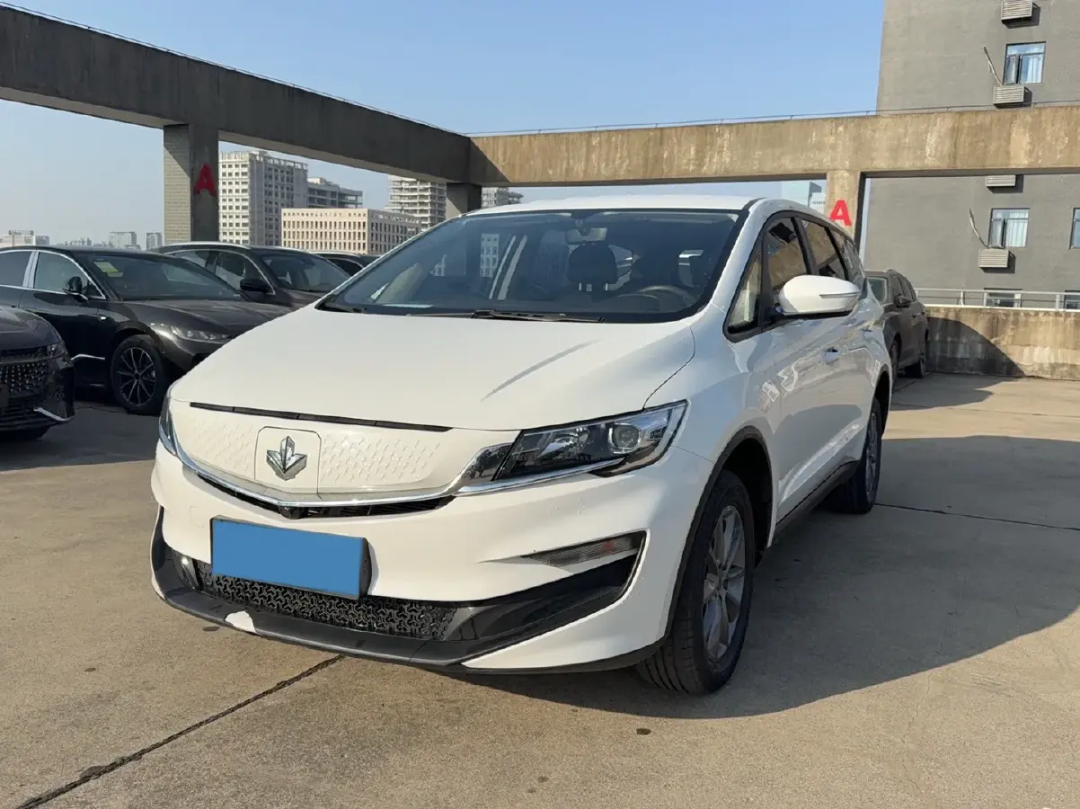 2021 Livan Maple 80v BEV 53KWH