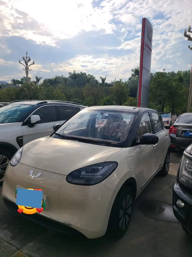 2025 WuLing BinGuo BEV