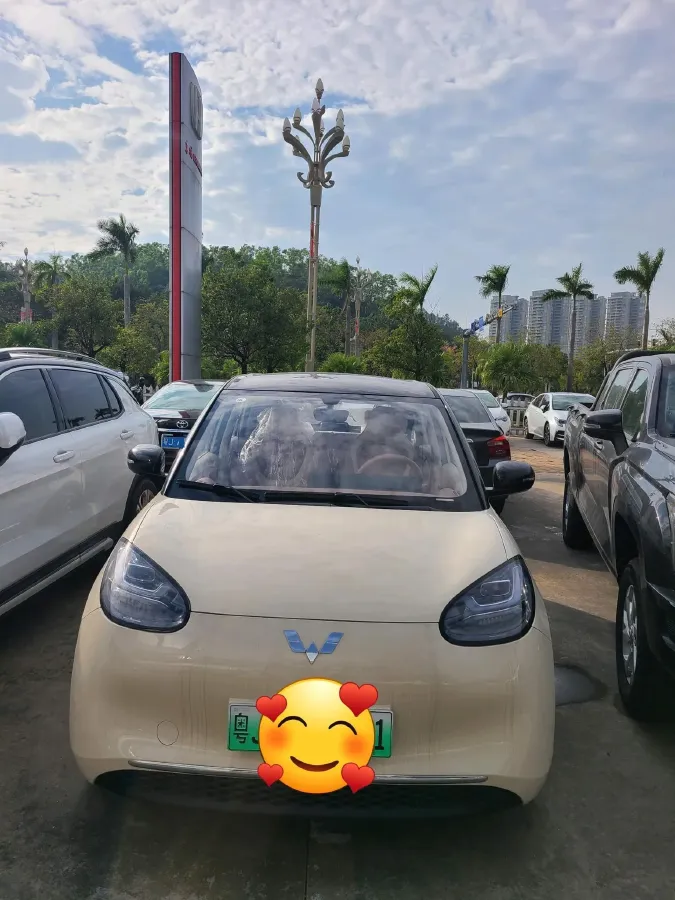 2025 WuLing BinGuo BEV,autocango,china used car exporter,china ev exporter,chinese used car exporter,chinese used ev exporter