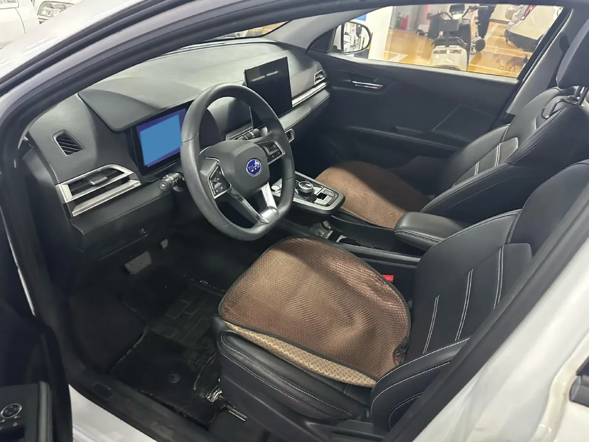 2019 BYD e2 BEV 35.2KWH,autocango,china used car exporter,china ev exporter,chinese used car exporter,chinese used ev exporter