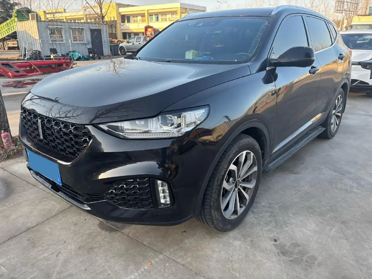 2018 WEY VV6 2.0T 197HP L4 7DCT