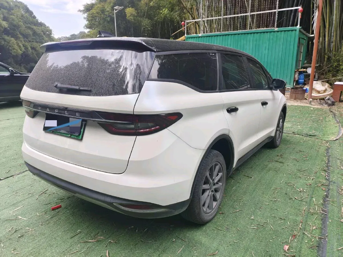 2021 Livan Maple 80v BEV,autocango,china used car exporter,china ev exporter,chinese used car exporter,chinese used ev exporter