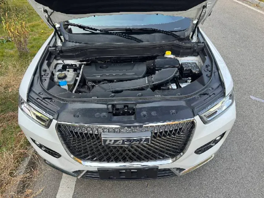 2021 Haval H6 2.0T 224HP L4 7DCT,autocango,china used car exporter,china ev exporter,chinese used car exporter,chinese used ev exporter