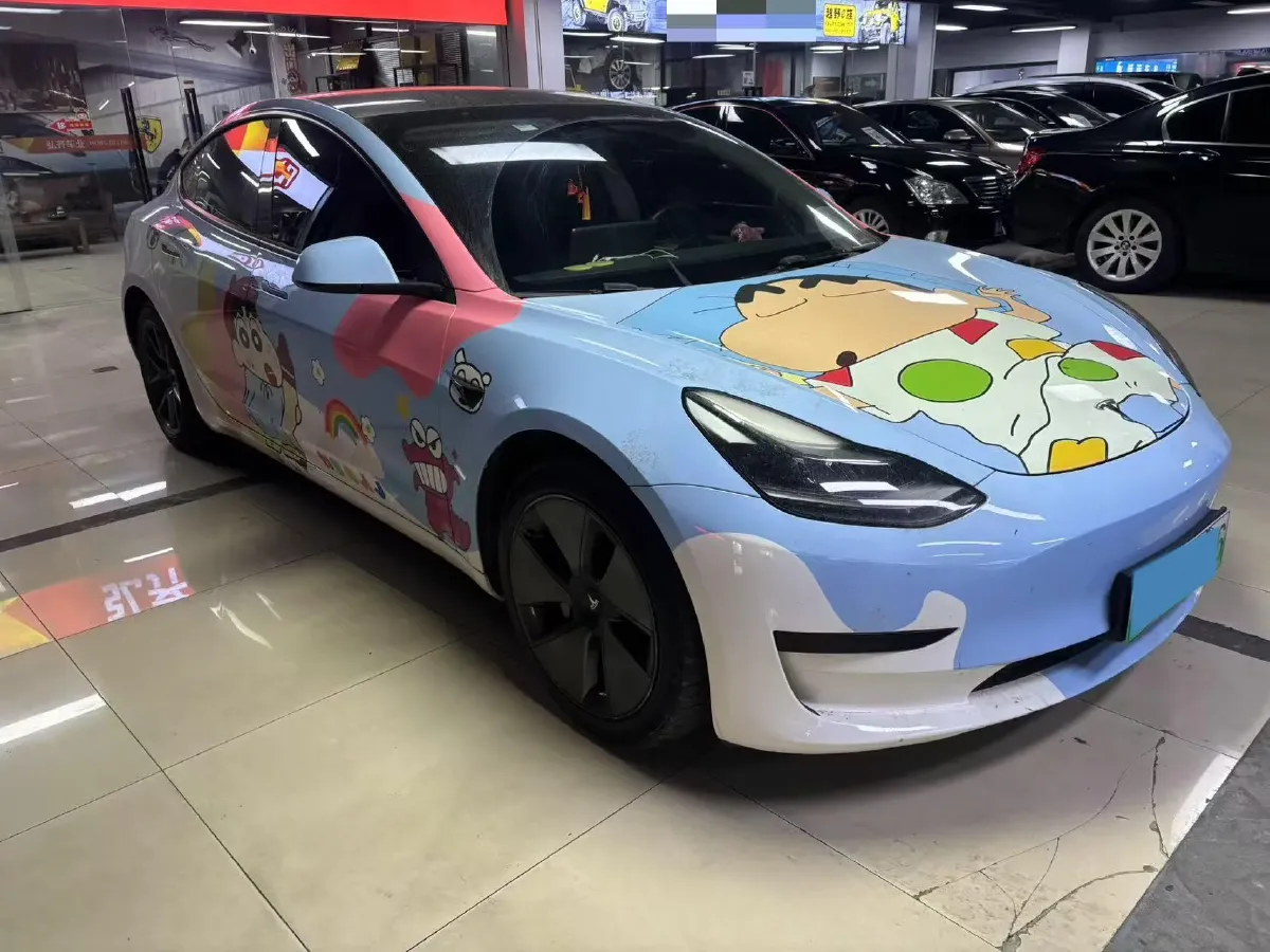 2022 Tesla Model 3 BEV 60KWH,autocango,china used car exporter,china ev exporter,chinese used car exporter,chinese used ev exporter