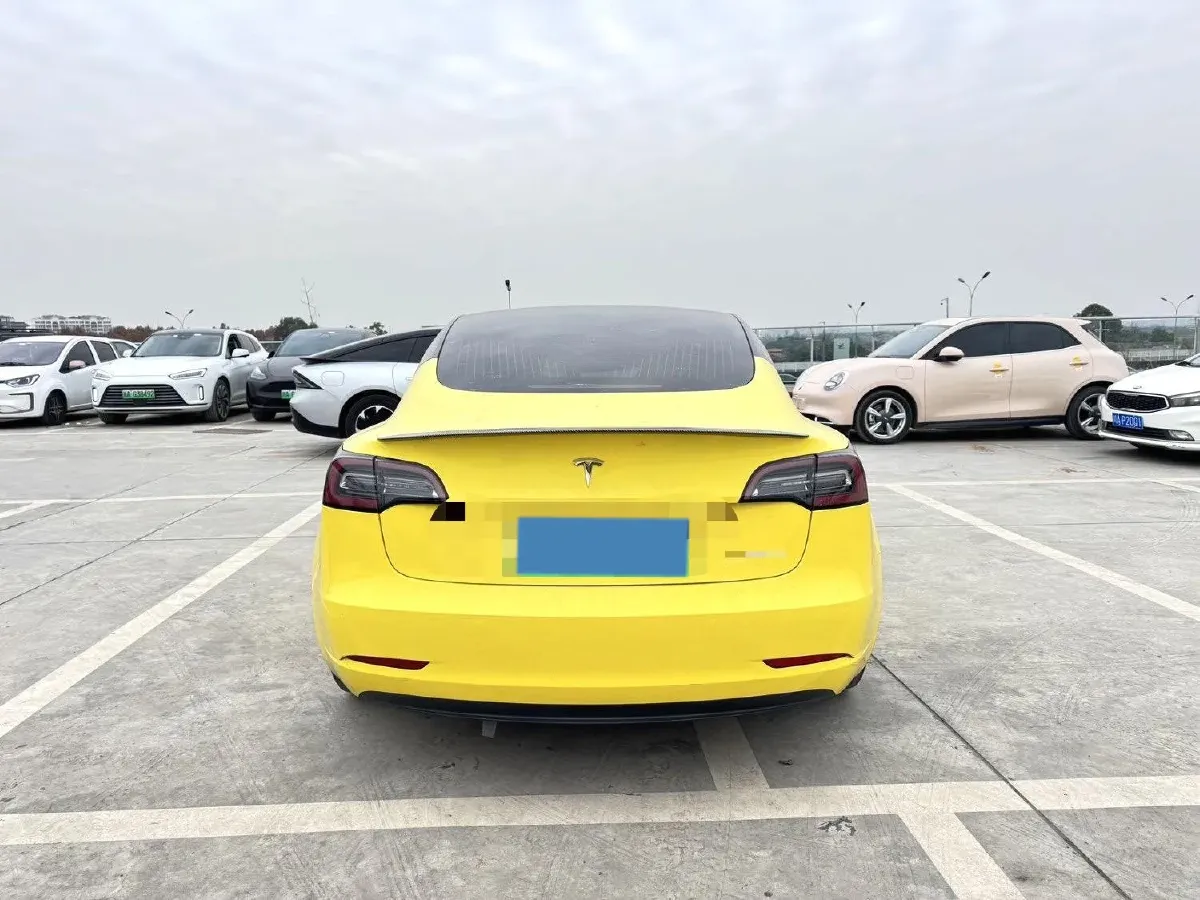 2020 Tesla Model 3 BEV 52KWH,autocango,china used car exporter,china ev exporter,chinese used car exporter,chinese used ev exporter